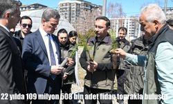 Erzurum’da ağaçlandırma seferberliği: 109 milyon 508 bin adet fidan toprakla buluştu