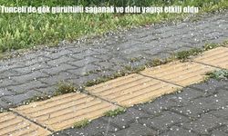 Tunceli’de gök gürültülü sağanak sonrası dolu yağışı etkili oldu