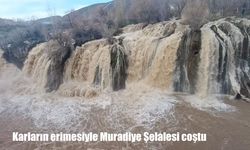 Muradiye Şelalesi’nde debi artışı dikkat çekti