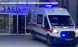 Van’da köpek saldırısı: 5 yaşındaki çocuk hayatını kaybetti