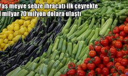 Türkiye dünyayı besliyor: İlk çeyrekte 1 milyar doları aşan rekor başarı
