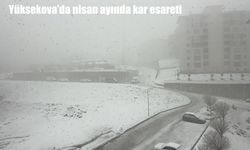 Hakkari’de kar yağışı hayatı olumsuz etkiledi