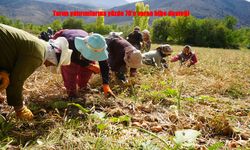 Devletten Tarıma Güçlü Dokunuş: %70 Hibe Desteği