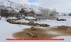 Erzincan’da Üreticiye Can Suyu: Küçükbaş Destek Projesi