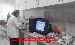 Sodyum-İyon Bataryada Laboratuvar Çalışmaları Tamamlandı