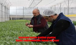 Jeotermal Seradan Renkli Yolculuk