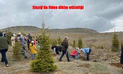 Elazığ’da Çocuklar Geleceğe Fidan Dikti