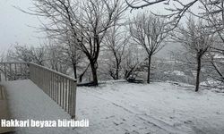 Hakkari’de nisan sürprizi: Şehir yeniden beyaza büründü