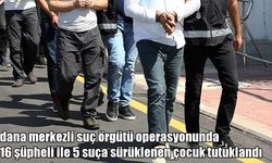 Adana merkezli operasyonda 221 tutuklama: Suça sürüklenen çocuklar da listede
