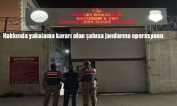 Hakkında yakalama kararı olan şahısa jandarma operasyonu