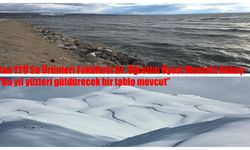 Van Gölü İçin Umut Veren Gelişme: Kar Yağışı Yüzde 100 Arttı