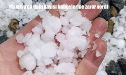 Malatya’da dolu kayısıyı vurdu: Bahçelerde hasar oluştu