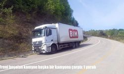 Kastamonu’da freni boşalan kamyon kazaya neden oldu: 1 yaralı