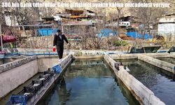 Erzurum’da 300 bin balık telef oldu: Genç girişimci destek bekliyor