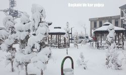 Van’da kar yağışı hayatı olumsuz etkiledi
