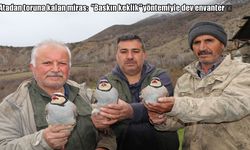 Erzurum’da “Baskın Keklik” yöntemi: 350 keklik işaretlenip doğaya salındı