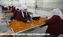 Malatya kayısı ihracatında mart rekoru: 20 milyon dolar aşıldı