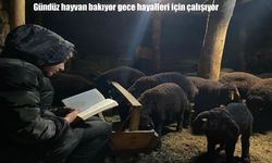Gündüz hayvan bakıyor, gece ders çalışıyor: Patnos’ta azmin adı Menekşe Sevinç
