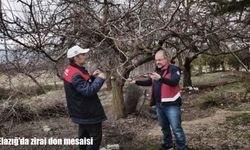 Elazığ’da zirai don mesaisi: Ekipler sahada inceleme yaptı