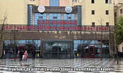 Ergani’de yıldırım faciası: 2 ölü, 1 ağır yaralı