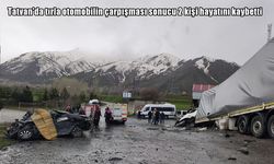 Bitlis'te tırla otomobil çarpıştı: 2 ölü, 1 yaralı