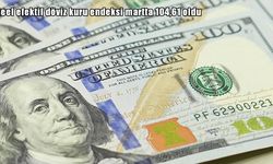 Merkez Bankası açıkladı: Reel efektif döviz kuru yükselişte