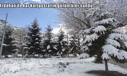 Nisanda kar sürprizi: Ardahan'da kartpostallık görüntüler