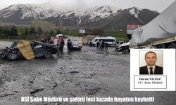 Bitlis’teki feci kazada DSİ Şube Müdürü ve şoförü hayatını kaybetti