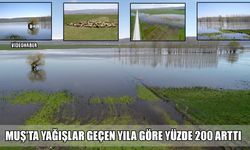 Muş’ta yağışlar yüzde 200 arttı: Son 20 yılın zirvesi