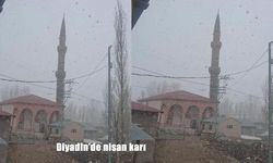 Ağrı’da Nisan Sürprizi: Diyadin’de Kar Yağışı Etkili Oldu