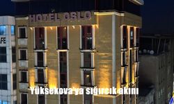 Yüksekova’da Sığırcık Akını: Binalar Kuşlarla Kaplandı