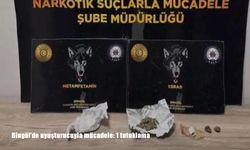 Bingöl’de uyuşturucuyla mücadele: 1 tutuklama