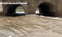 Ağrı’da kar suyu dereleri coşturdu