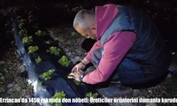 Erzincan'da 1450 rakımda don nöbeti: Üreticiler ürünlerini dumanla korudu