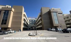 Erzincan’da Doktor Eksikliği Tartışması: Hastalar Sevk Ediliyor