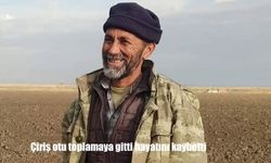 Osmaniye’de acı olay: Çiriş otu toplarken yaşamını yitirdi