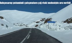 Van’da çığ riski büyüdü, Bahçesaray yolu için çalışmalar durdu