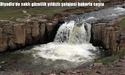 Diyadin'de saklı güzellik yıldızlı şelalesi baharla coştu