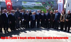 Van'da 5 yılda 4 buçuk milyon fidan toprakla buluşturuldu