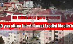 Gençlere faizsiz konut desteği TBMM gündeminde