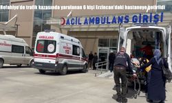 Refahiye’de otomobil şarampole devrildi: 2’si ağır 6 yaralı