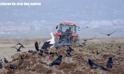 Erzincan için zirai don alarmı: 7-11 Nisan’a dikkat