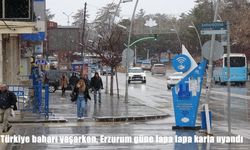 Türkiye baharı yaşarken Erzurum’a kar sürprizi