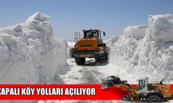 Muş’ta 41 kapalı köy yolu ulaşıma açıldı