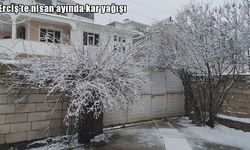 Van'da nisan ayında kar yağışı etkili oldu