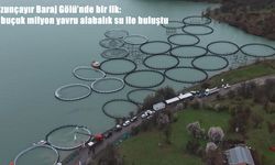 Uzunçayır Baraj Gölü'nde bir ilk: 1 buçuk milyon yavru alabalık su ile buluştu