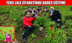 Muş’ta jandarmadan kadına yönelik şiddete karşı farkındalık çalışması