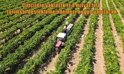 Bakan Yumaklı duyurdu: Çiftçilere milyarlarca liralık destek ödemesi