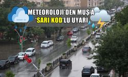 Muş için "Sarı" kodlu alarm: Kuvvetli yağış ve çığ tehlikesine dikkat!