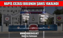 Muş’ta 4 yıl hapis cezası bulunan hükümlü yakalandı